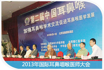 2013������ʺ�ҽʦ���